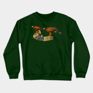 Pair of Harris Hawks on the hunt Crewneck Sweatshirt